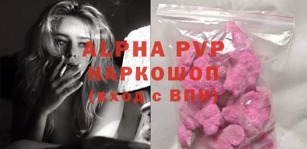 гашик Алексин