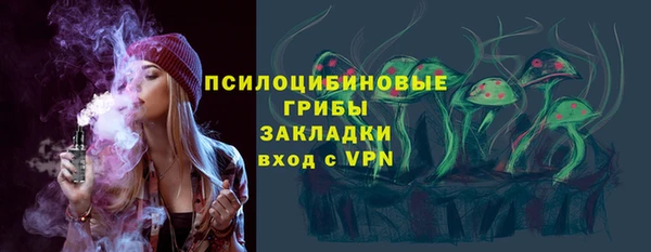 гашик Алексин