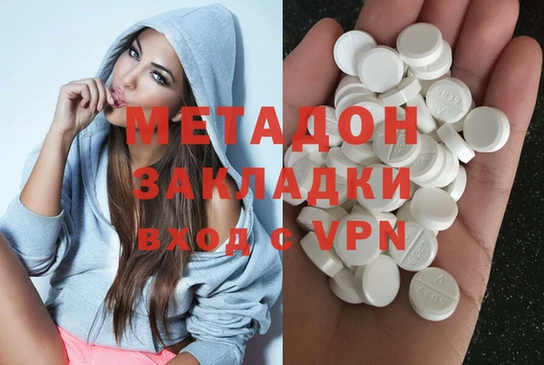 гашик Алексин