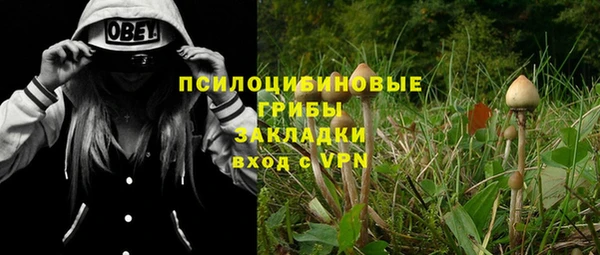 COCAINE Алексеевка