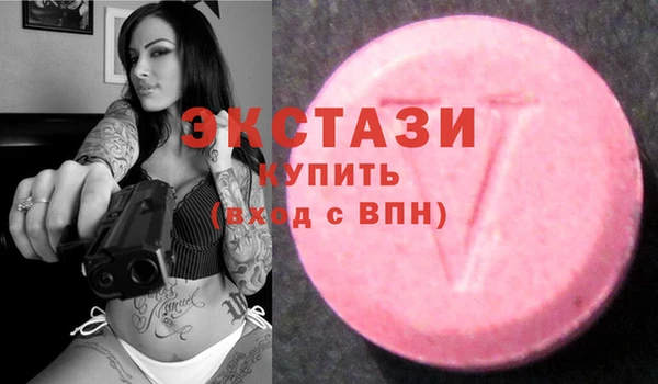 гашик Алексин