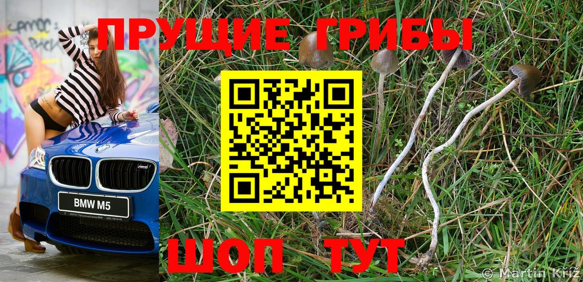 Галлюциногенные грибы мицелий Сатка