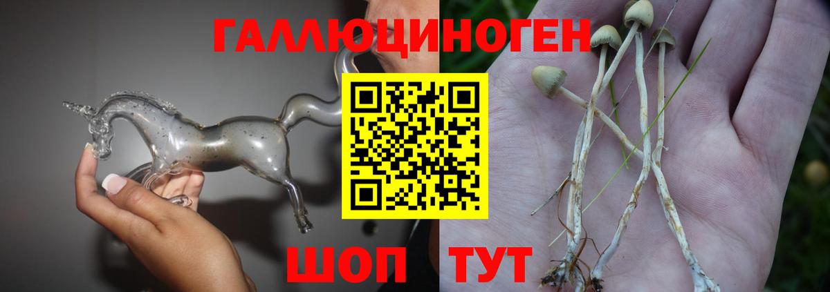 Галлюциногенные грибы мухоморы  Галлюциногенные грибы Psilocybine cubensis  Вход с VPN  Сатка 